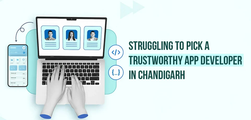 web devloper in chandigarh