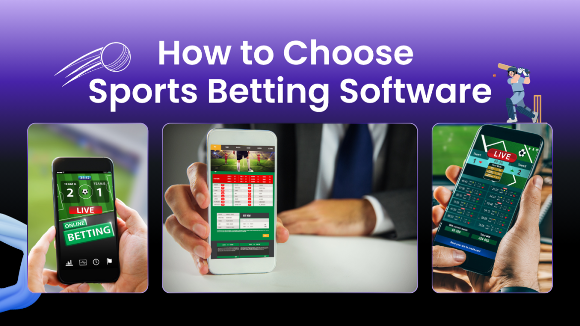 How to Choose Sports Betting Software | A Practical Guide for Business Owners