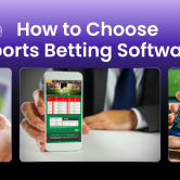 How to Choose Sports Betting Software How to Choose Sports Betting Software