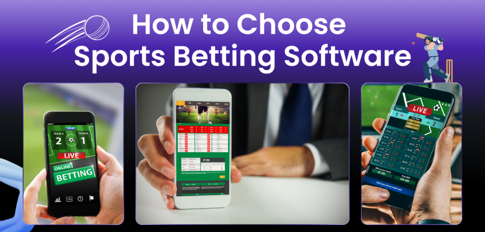 How to Choose Sports Betting Software How to Choose Sports Betting Software