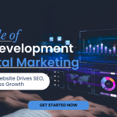 The Role of Web Development in Digital Marketing Role of Web Development in Digital Marketing