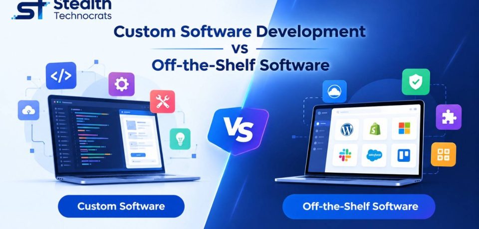 Comparison of tailored software and ready-made solutions